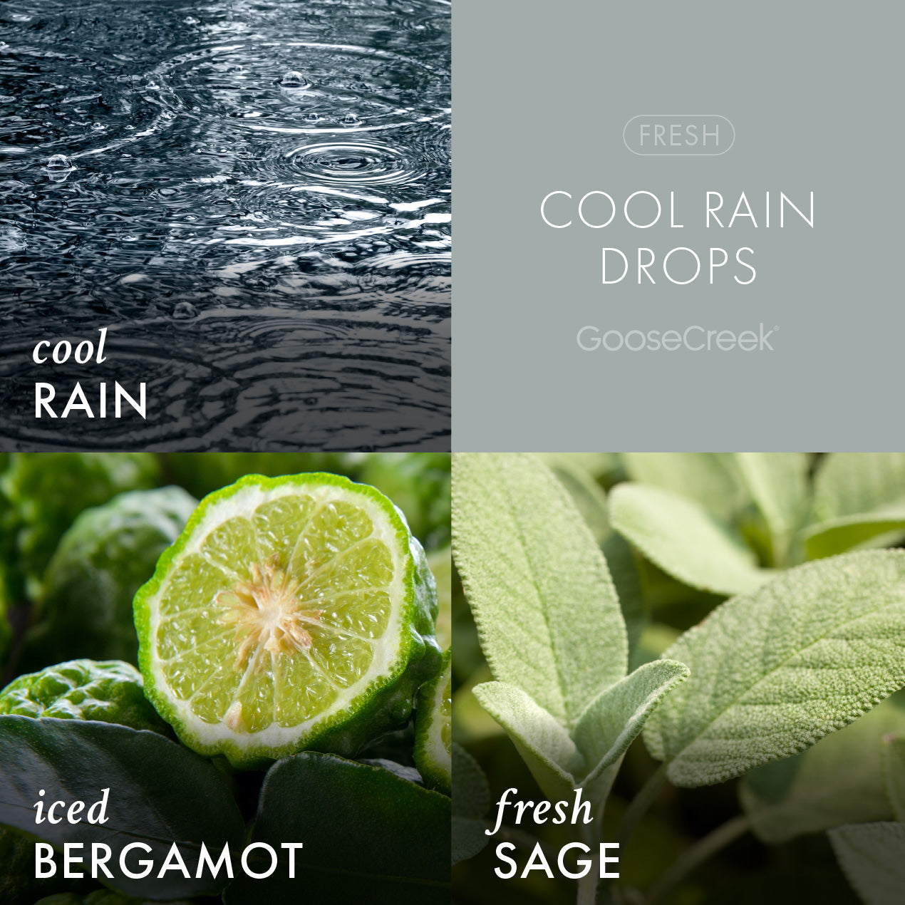 Cool Rain Drops Odor Eliminating 3-Wick Candle