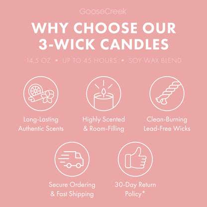 Macintosh Apple 3-Wick Candle