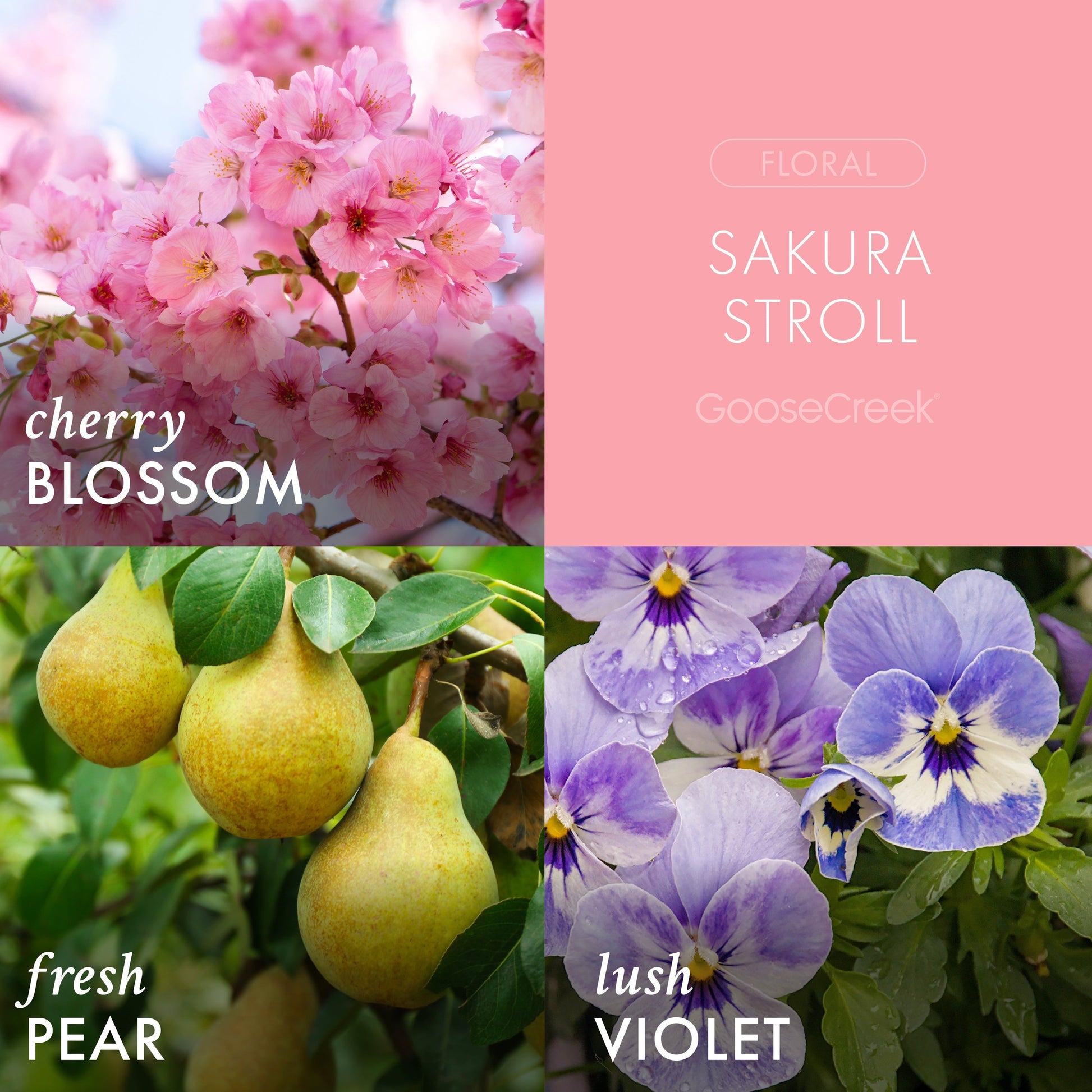 Sakura Stroll 3-Wick Candle