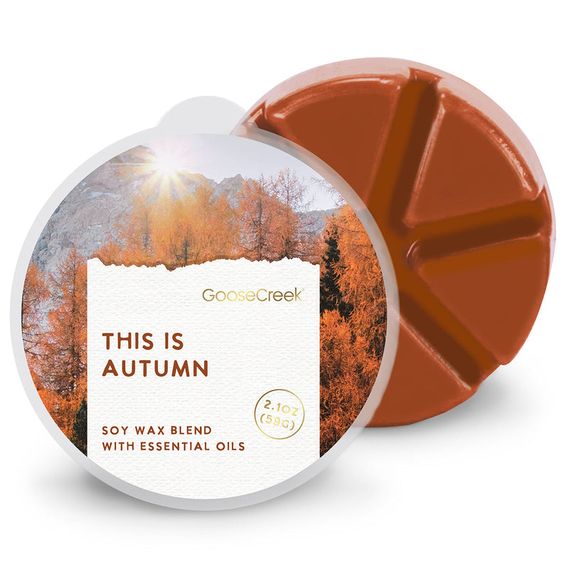 This Is Autumn Wax  Melt xy93s 6ysz3